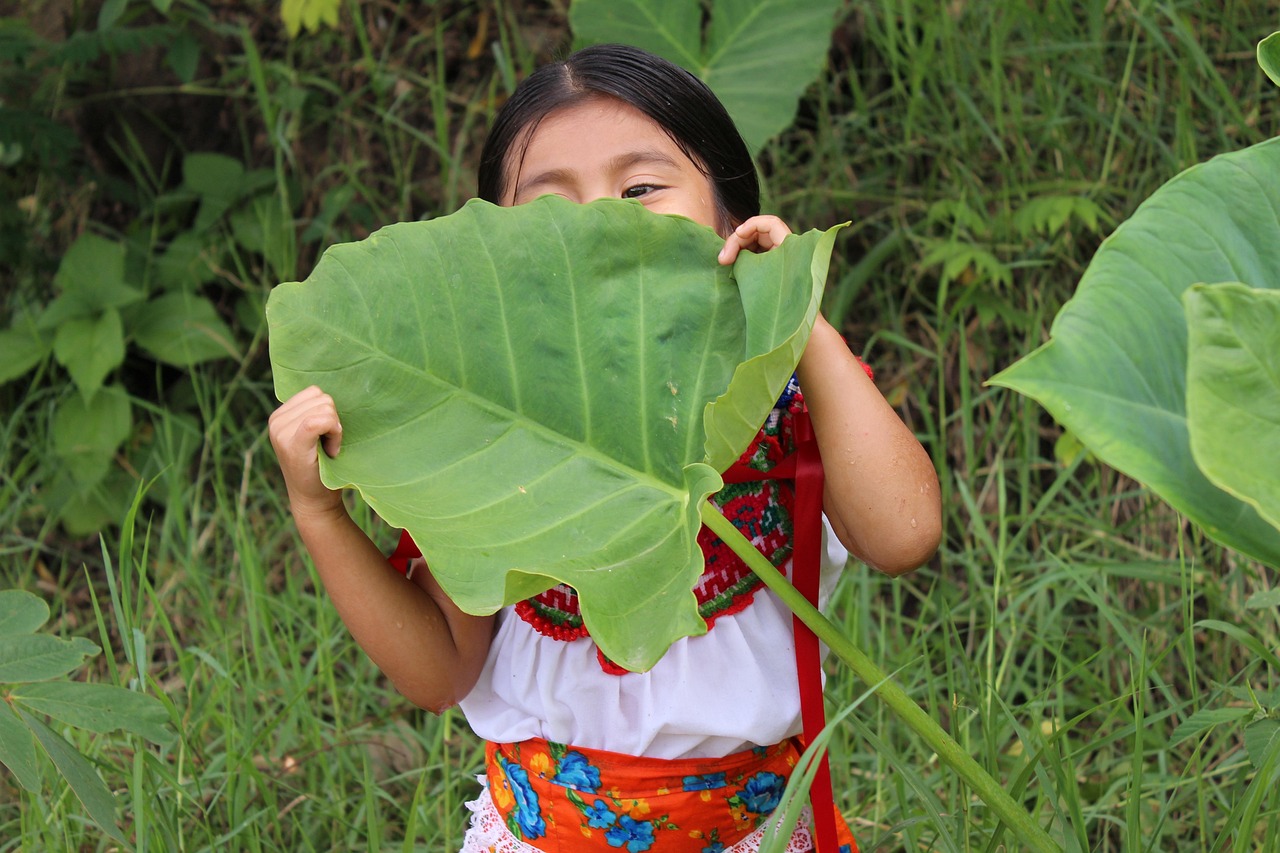 江苏亲子幼儿早教，培育未来的花朵